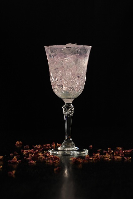 Een reis door de wereld van gin tonic