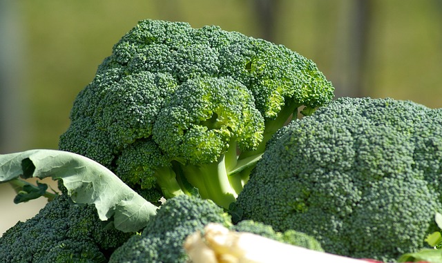De perfecte vleescombinaties voor broccoli gerechten